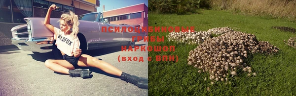мяу мяу мука Арсеньев