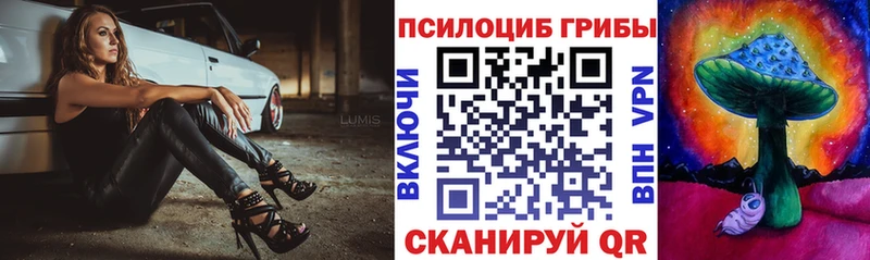 Галлюциногенные грибы MAGIC MUSHROOMS  Дорогобуж 